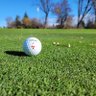 EM69 🇨🇦⛳'s profile picture