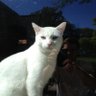 Egs's profile picture