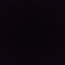 Holic's profile picture