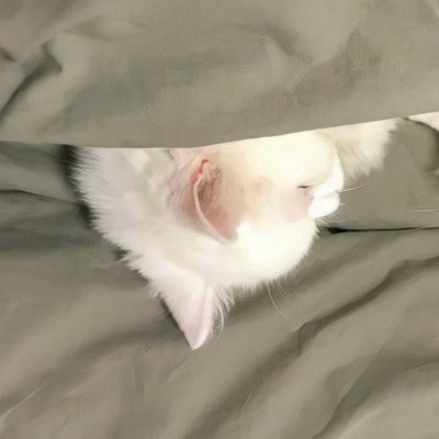 Ely.'s profile picture