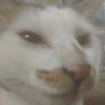 .'s profile picture