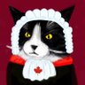 The court cat's profile picture