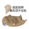 Profilbild von 猪猪落泪