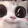 Murami's profile picture