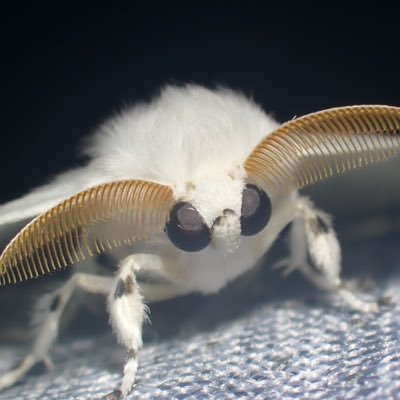 うどん's profile picture