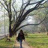 Ally profil fotoğrafı