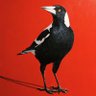 Aubert profil fotoğrafı