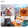 May.Be.May's profile picture