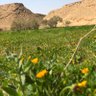 Фото профиля J-By8-MR HUSSAIN Bin ALI