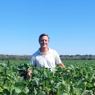 Ernesto Carreño's profile picture