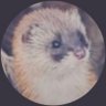Profilbild von yol