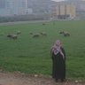 فواز حميد الشيخ 的头像