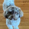 Carlen profil fotoğrafı