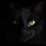 Profilbild von ChatNoirE