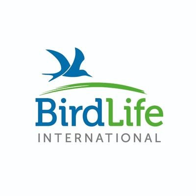 BirdLife_News's profile picture