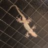 Profilbild von みっかおやじ