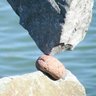 The Rock profil fotoğrafı