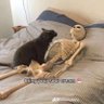 Фото профиля kinkydude42069.bsky.social