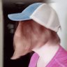 layer profil fotoğrafı