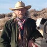 Brad Kennedy profil fotoğrafı