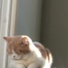 Loli.1 profil fotoğrafı