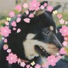 å°æ¥â's profile picture