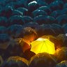 ✝️ Rapture Watchman 🕒 ✝️'s profile picture