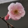 原健's profile picture