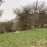النقطة profil fotoğrafı