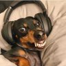 ALBERT ITALO ENERGY's profile picture