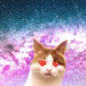 gato galáctico 的头像