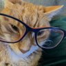 Hakeress's profile picture