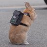 濱畑進一 profil fotoğrafı