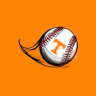 Vols On Deck's profile picture
