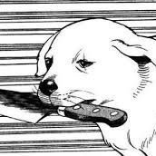 ComradeFox's profile picture