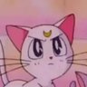 Bambi's profile picture