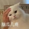 我是你爹 profil fotoğrafı