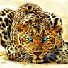 𝐴𝑙𝑓𝑎ℎ𝑎𝑑.𝑐𝑜𝑚's profile picture