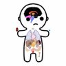 HealthNotes.jpg 的头像
