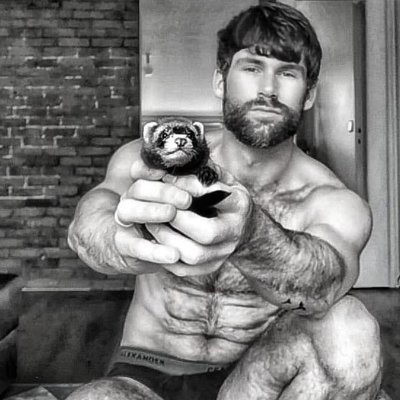 StefanLouis12's profile picture