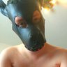 Redpup's profile picture