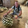 The Tequila Wanderer's profile picture