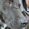j profil fotoğrafı