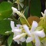 Фото профиля ひろきのの