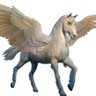 Фото профиля Pegasus