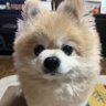 昌秀 profil fotoğrafı