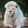 Фото профиля استغفر الله