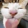 Rainy's profile picture