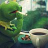 Kermit the Frog 's profile picture
