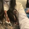 きずな 的头像